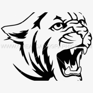 cougar clipart drawing