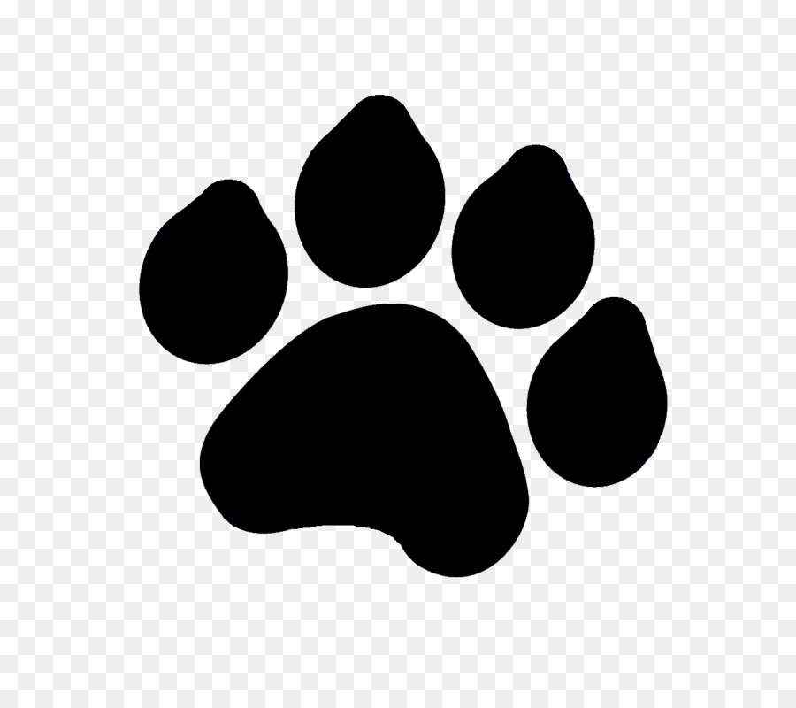 Free download clip art. Cougar clipart footprint