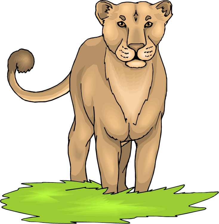 Cougar clipart fossa. Free lion 