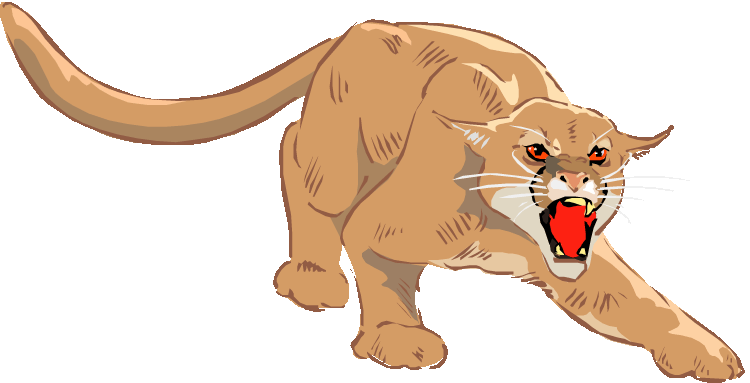 Free . Cougar clipart fossa