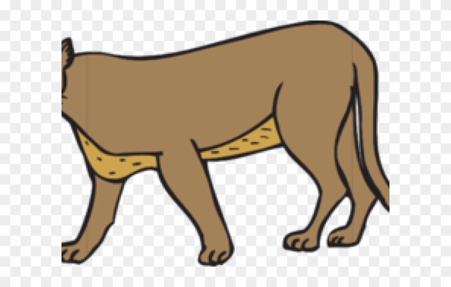 Cougar clipart fossa. Cliparts clip art png