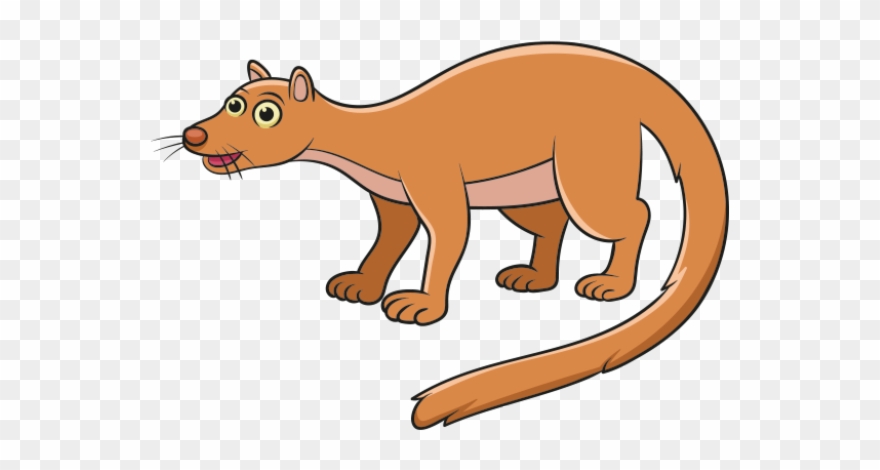 Cougar clipart fossa. Png download 