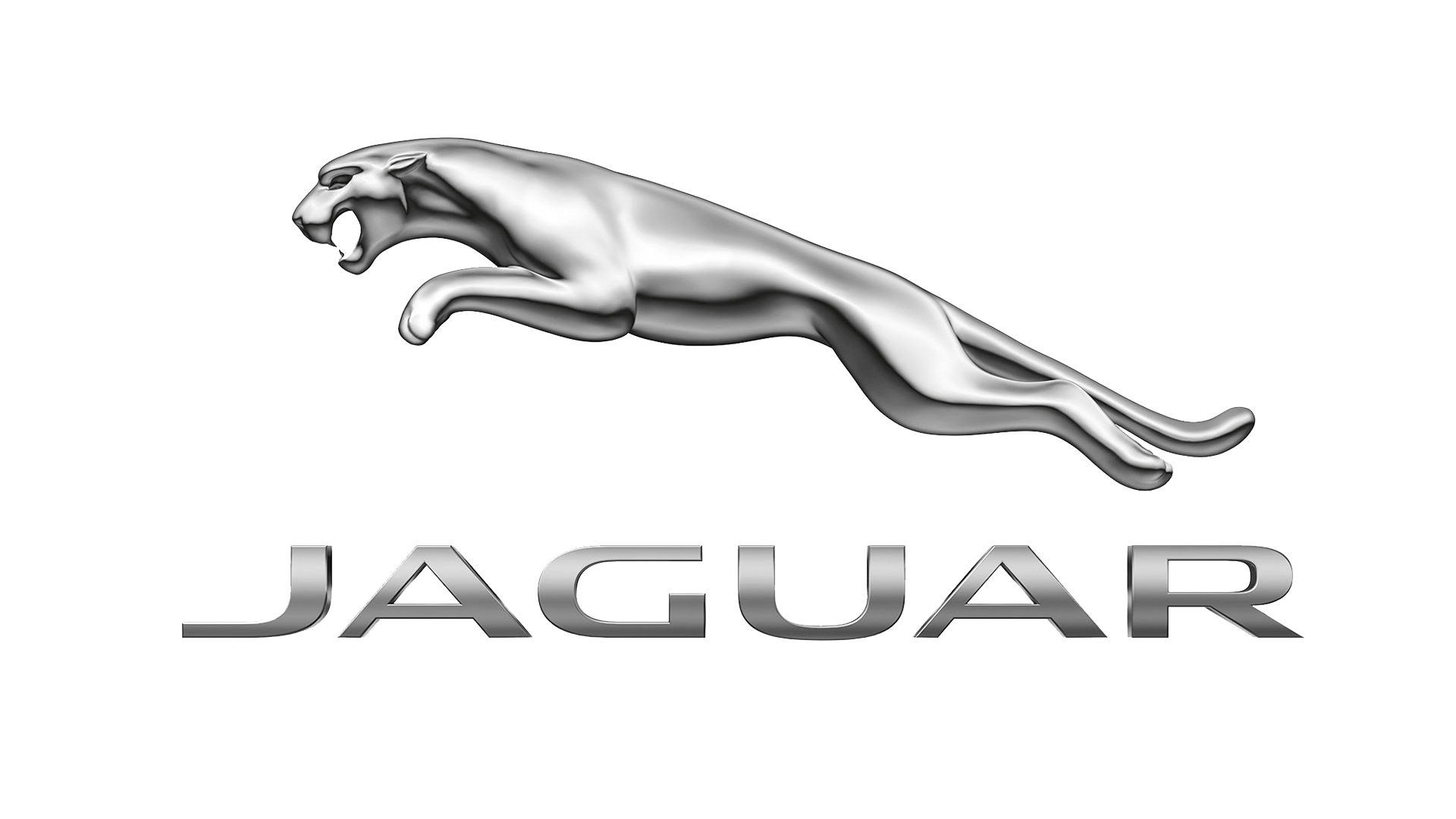 jaguar clipart white background