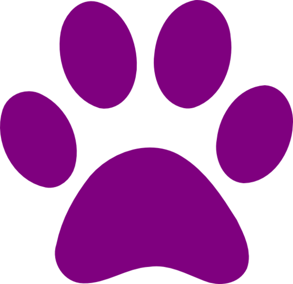 paw clipart single