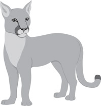 Search results for clip. Cougar clipart puma animal