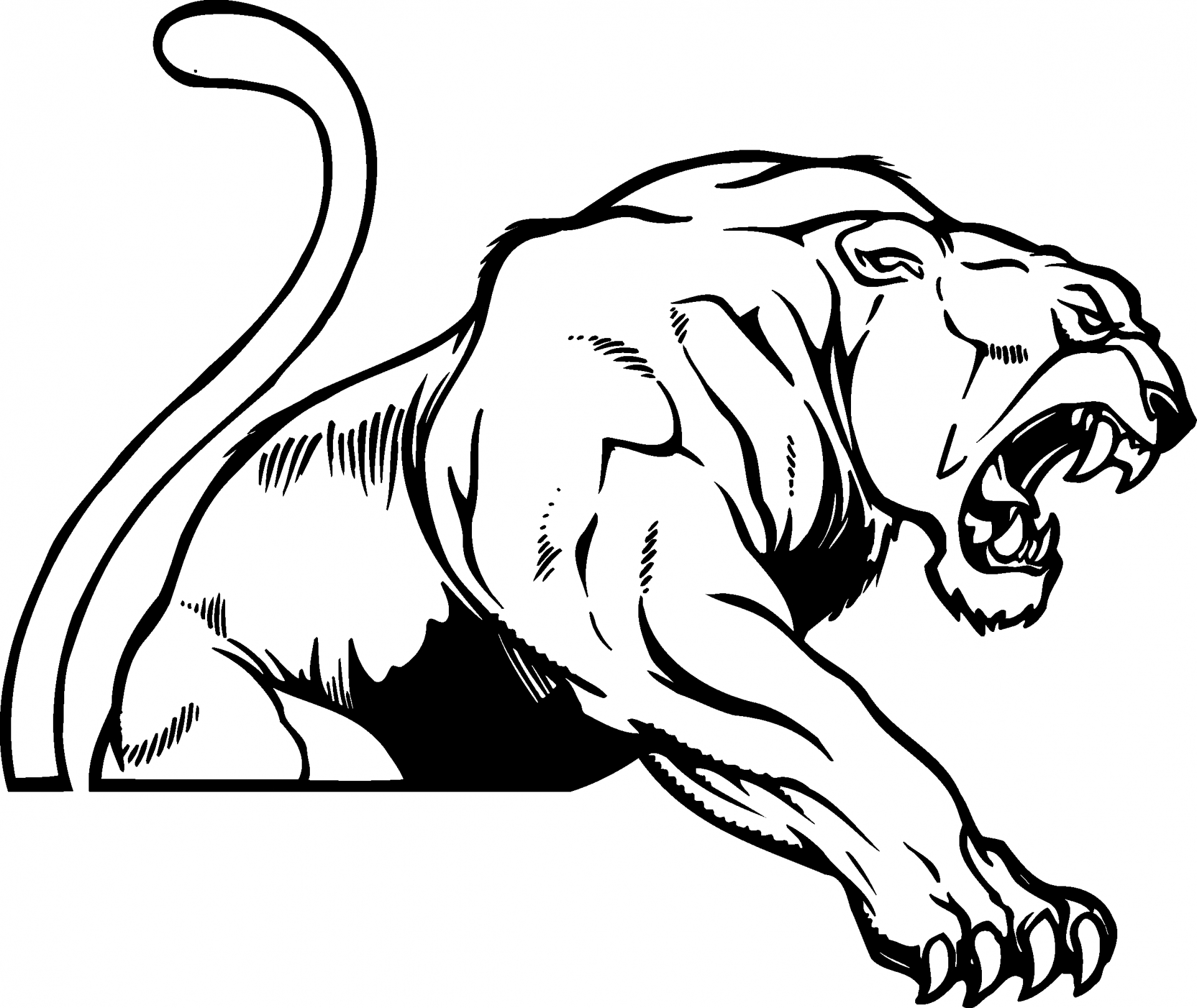 panther clipart line art