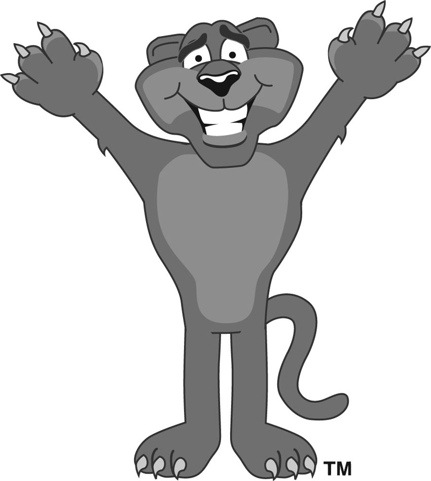 cougar clipart real