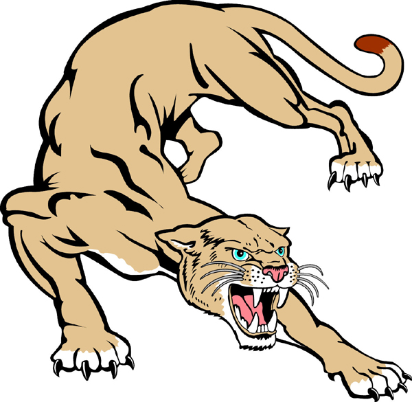 Cougar clipart yellow.  mascot clipartlook