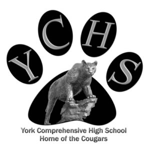 cougar clipart york