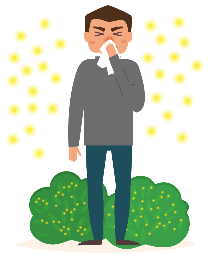fever clipart hay fever
