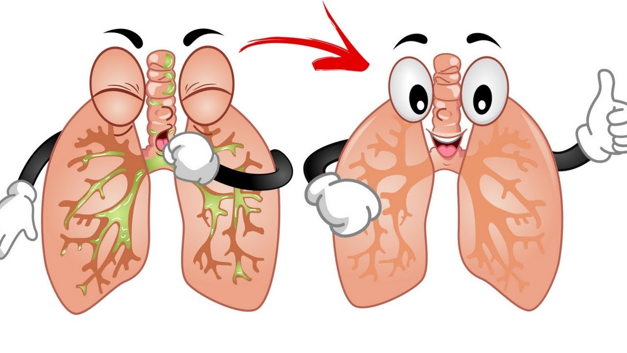 cough clipart happy lung