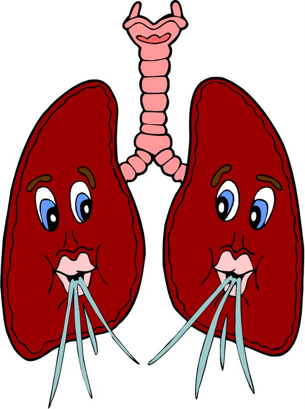 cough clipart happy lung