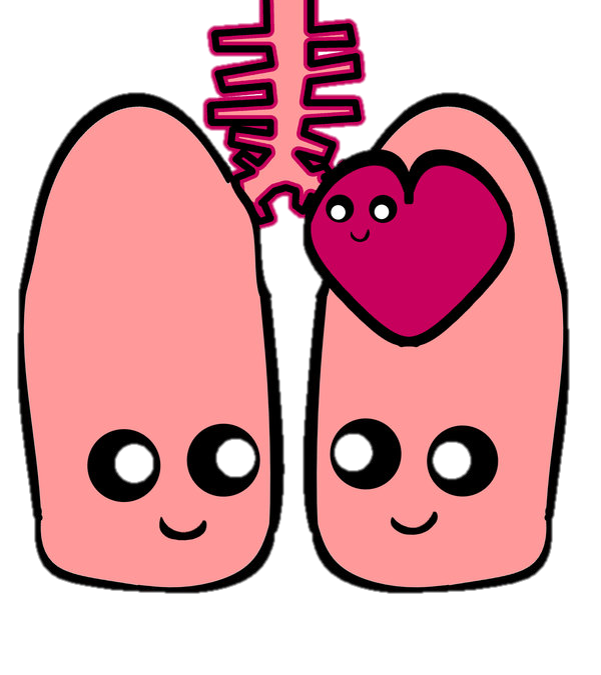 cough clipart pulmonary circulation