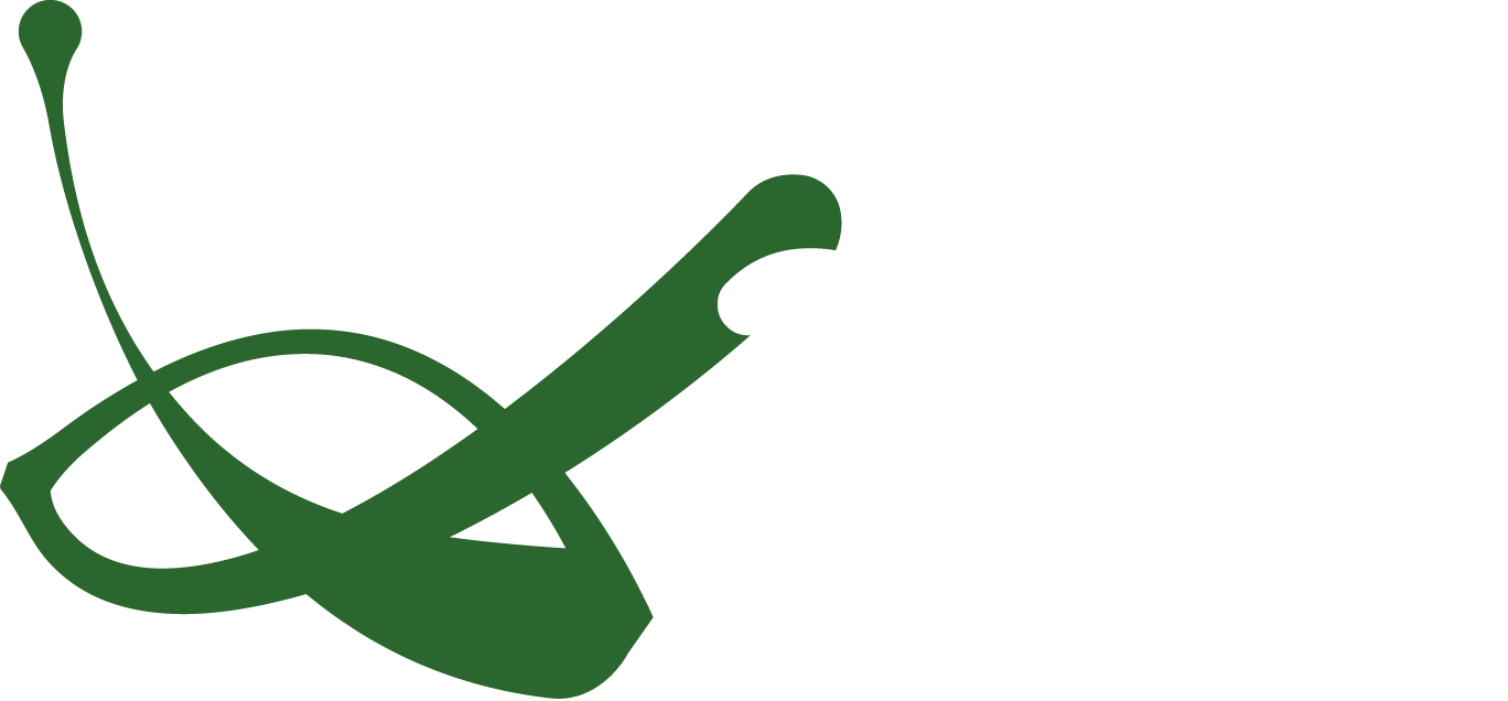 Spine chiropractic