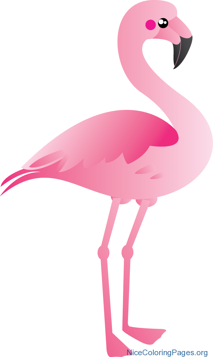 pink flamingo clipart vectored image