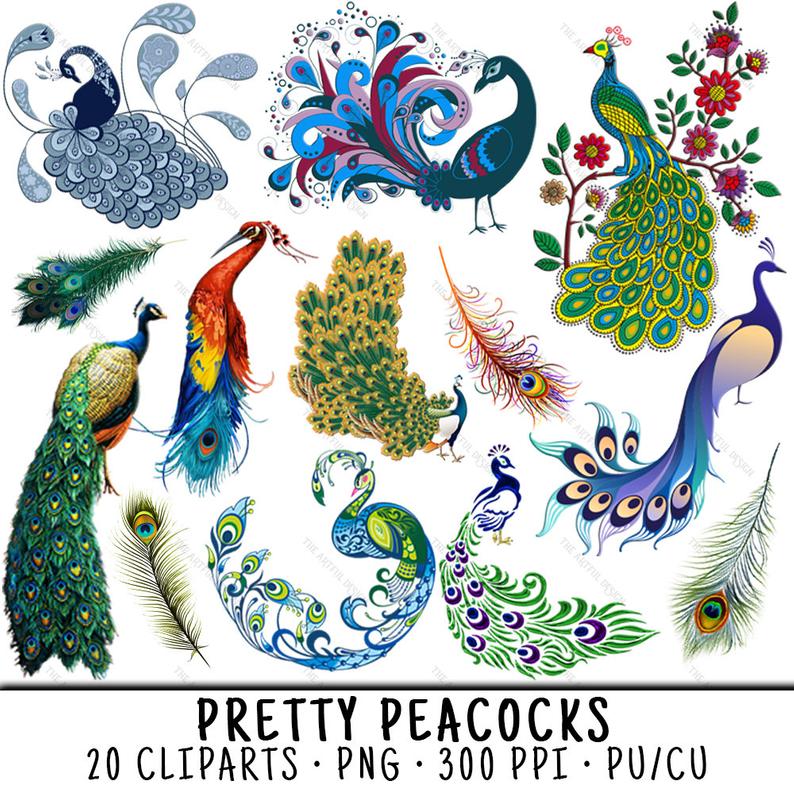 peacock clipart summer