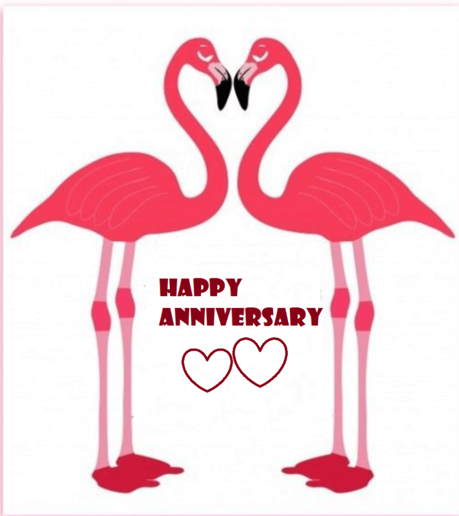 flamingo clipart couple