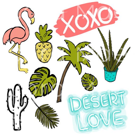 Coupon clipart local. Palm springs desert png