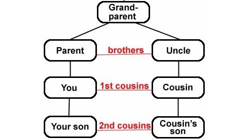 Why are special and. Cousins clipart child protection policy