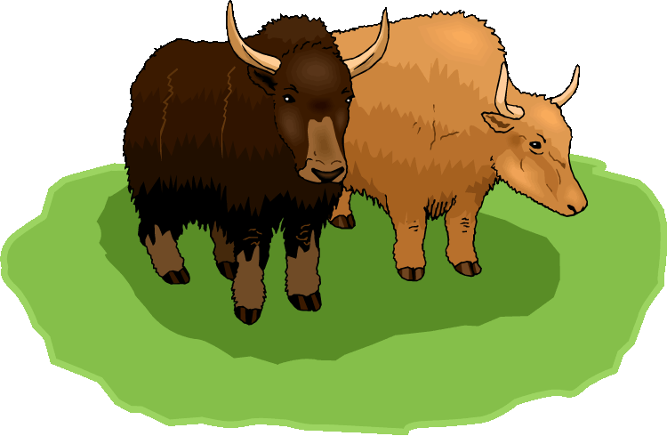 Yak clipart musk ox. Free buffalo 