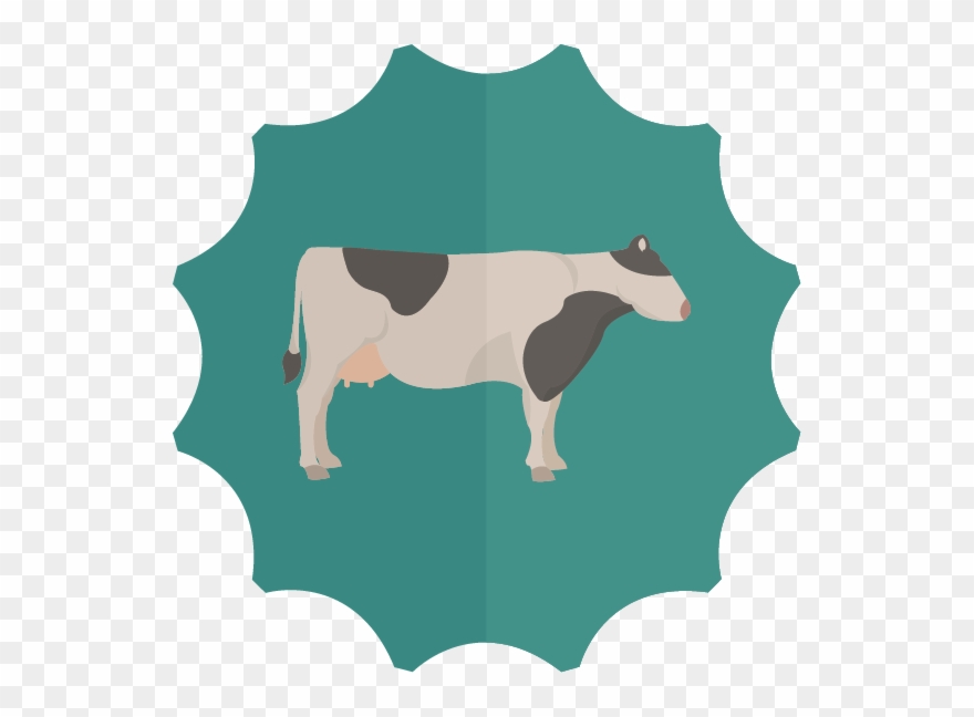 cow clipart digestive system