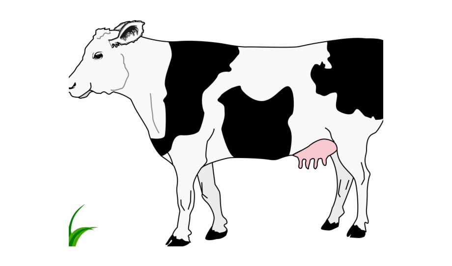 cow clipart gambar