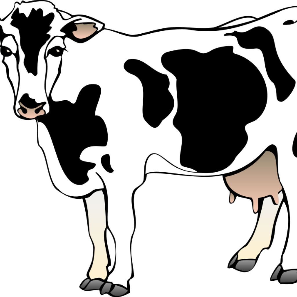 cow clipart pdf