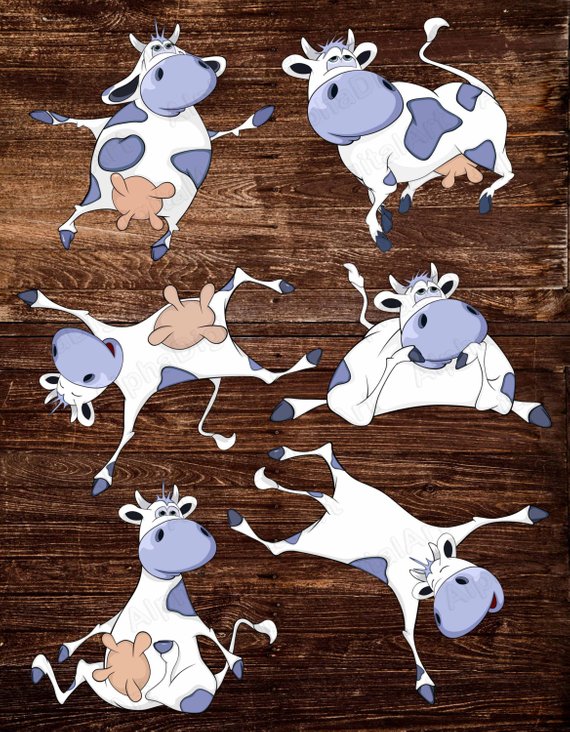 cows clipart product