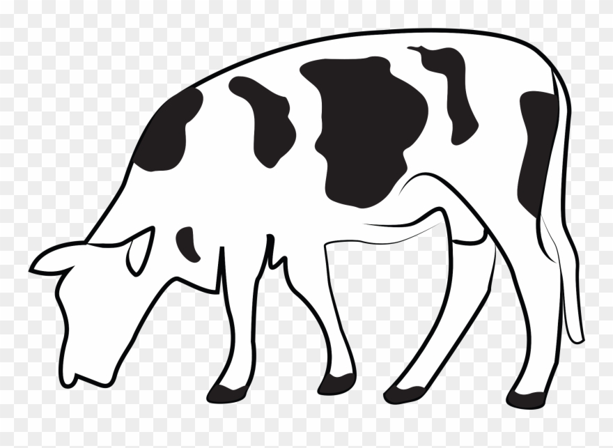 Cows clipart stable. Transparent animated cow png