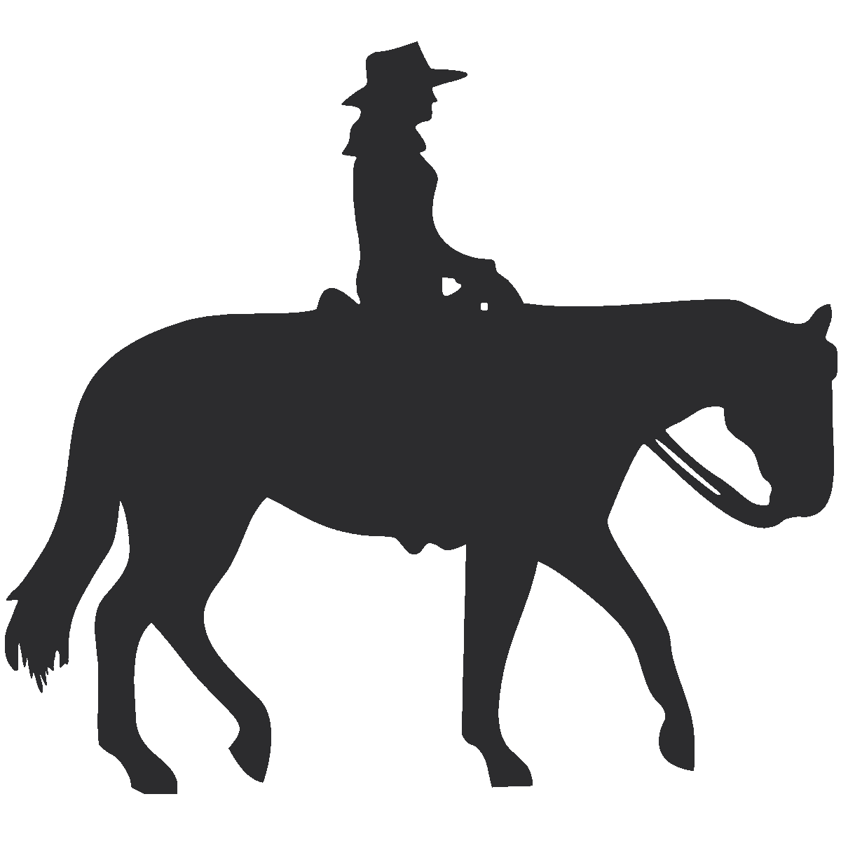 Cowboy horseback riding