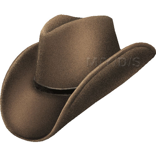 cowboy clipart ten gallon hat