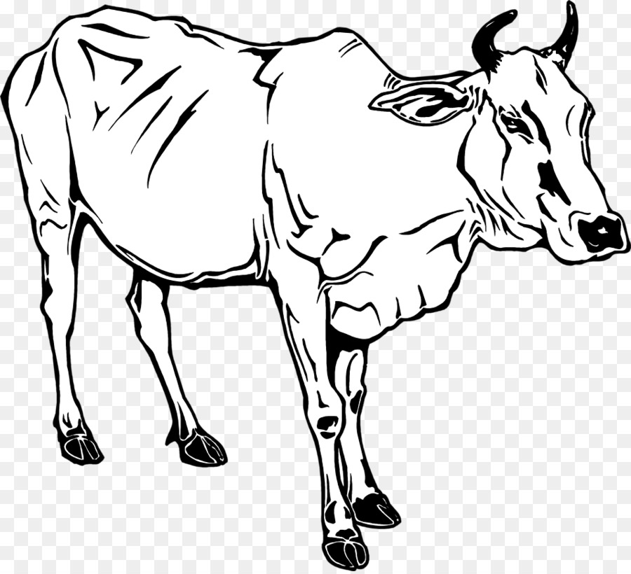 cows clipart buffalo
