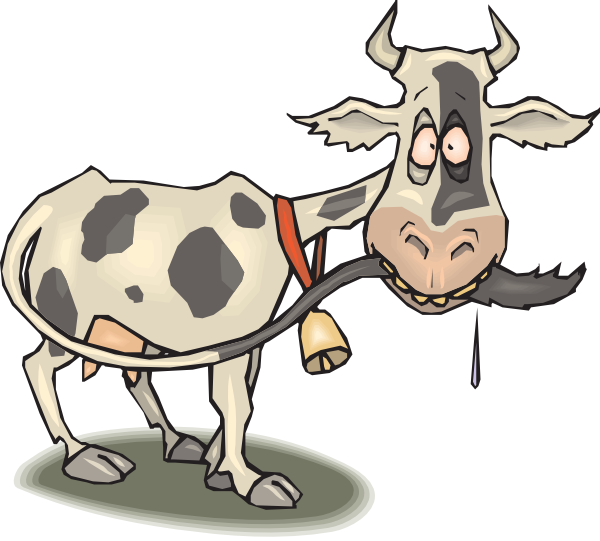 Cow chewing tail clip. Fat clipart thin