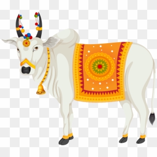 Cows clipart cow indian. Png images free transparent