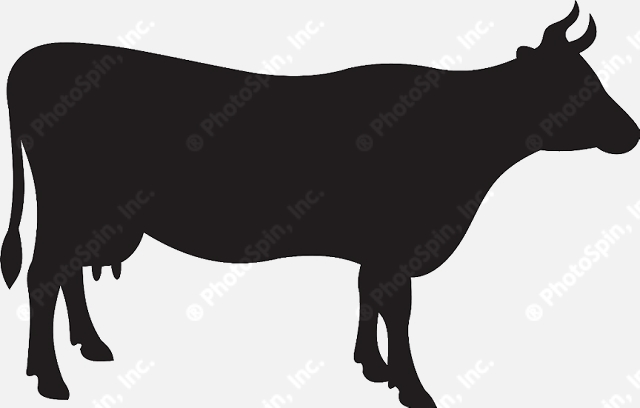 Cows clipart profile. Angus cow silhouette free
