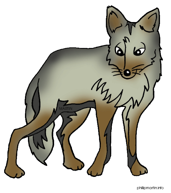 coyote clipart