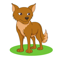 coyote clipart animated
