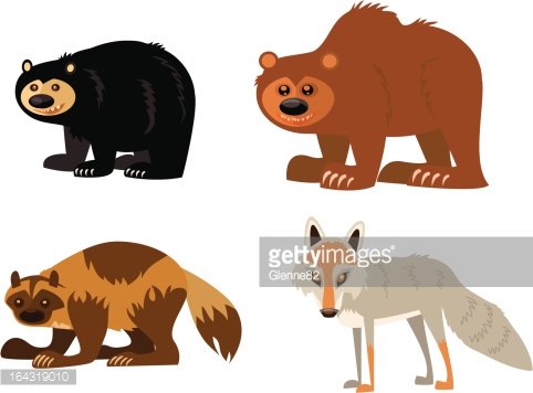 coyote clipart bear