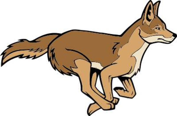 coyote clipart cartoon