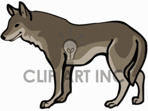 coyote clipart clip art