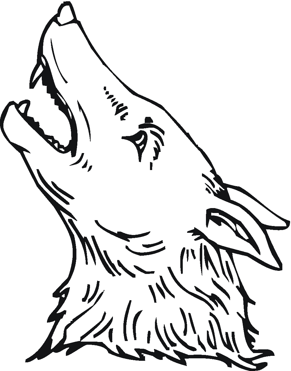coyote clipart coloring page