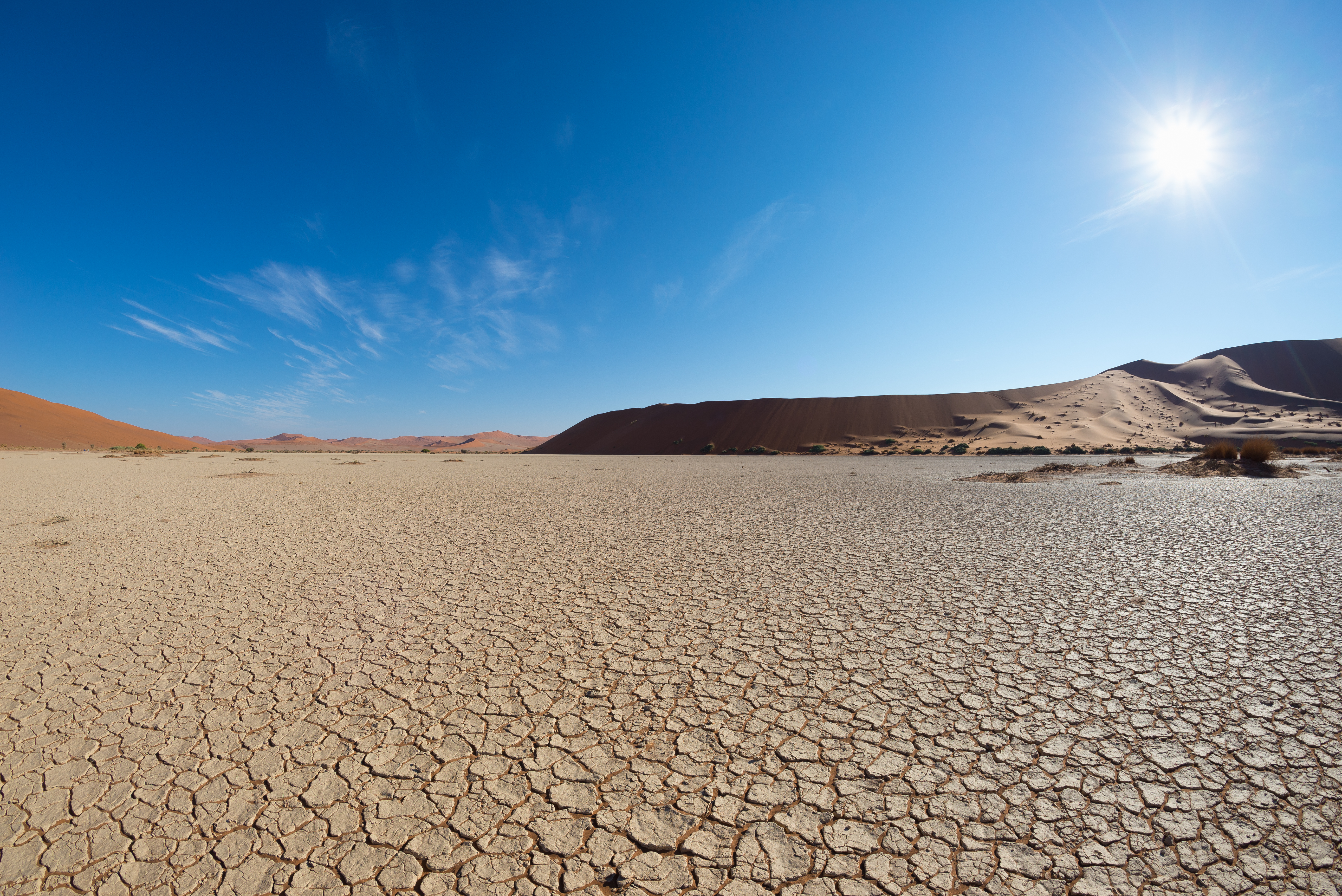 desert clipart desert ecosystem