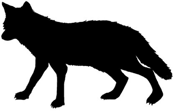 coyote clipart dingo