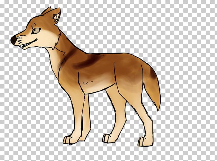 Coyote clipart dingo. Red fox dhole jackal