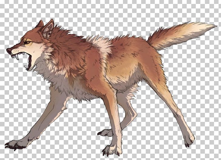Dhole red fox canis. Coyote clipart dingo