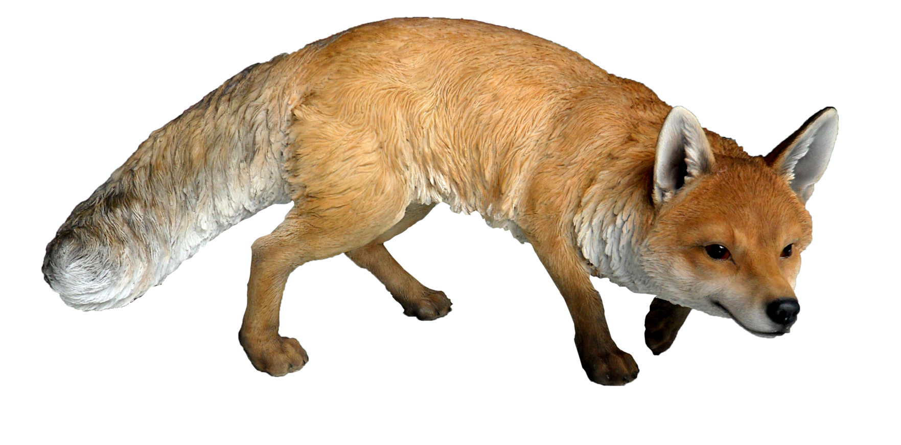 fox clipart dhole