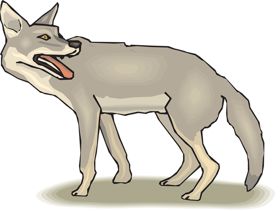 Coyote clipart printable. Jackal jorge pita collection