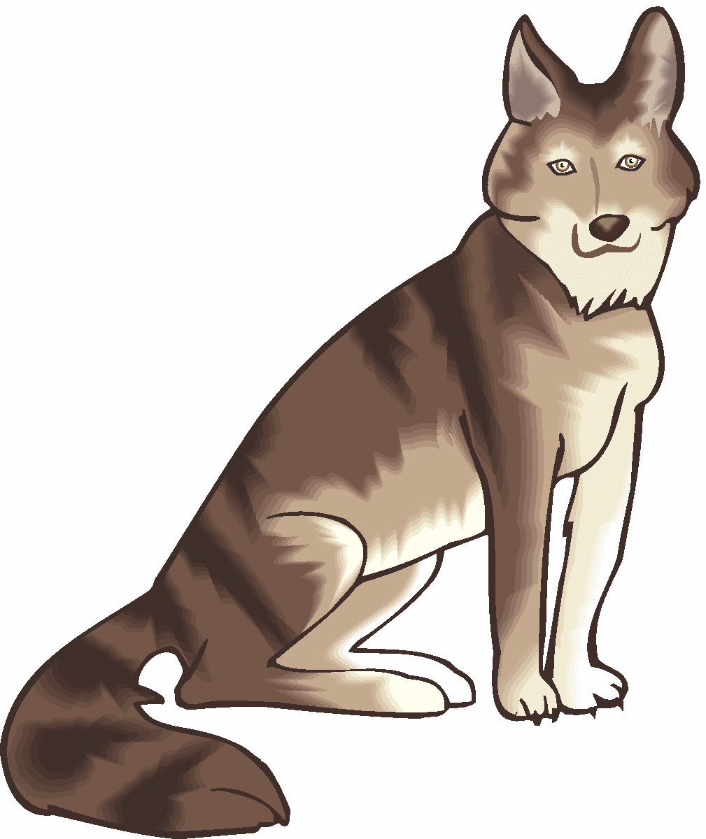coyote clipart realistic