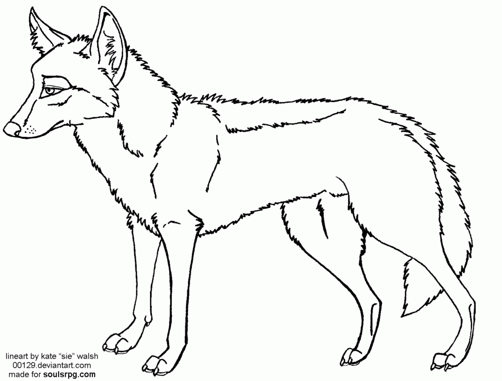 coyote clipart standing