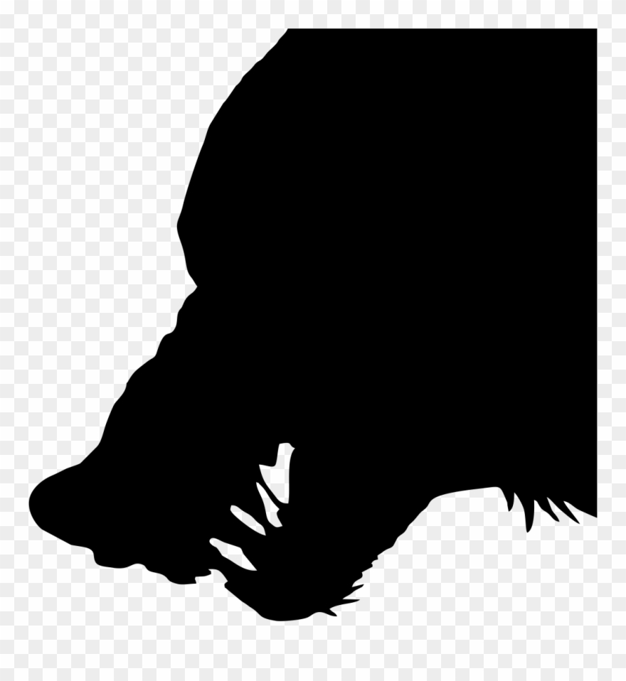 Wolf clipart wold. Coyote head silhouette png